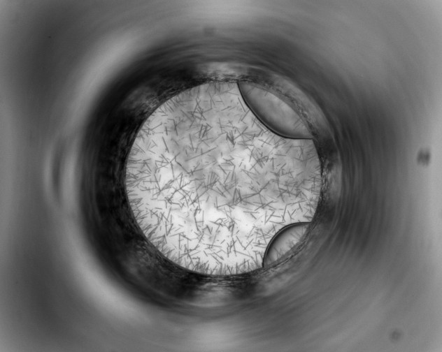 X0000103910381200810101313