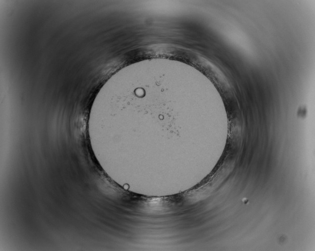 X0000103910382200810101313