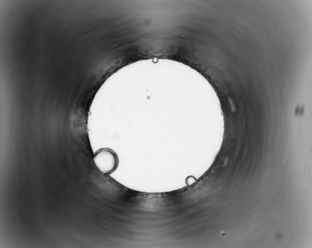 X0000103910384200810101313