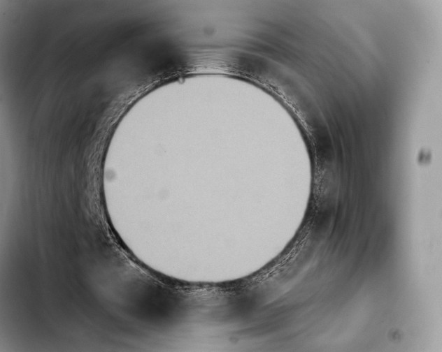 X0000103910385200810101312