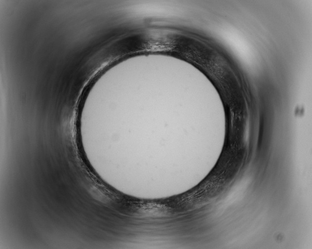 X0000103910387200810101312