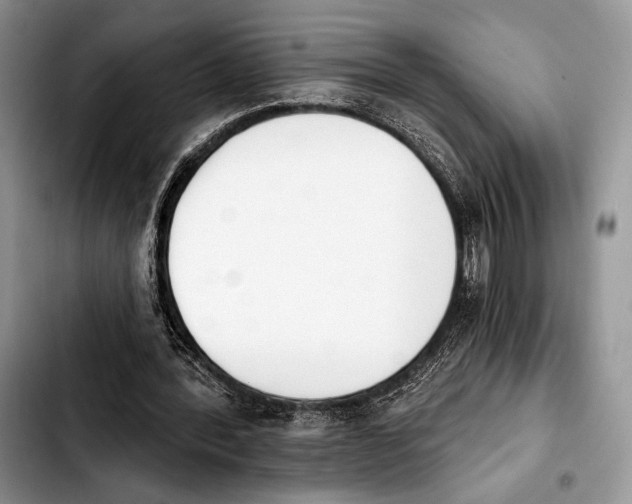 X0000103910388200810101312