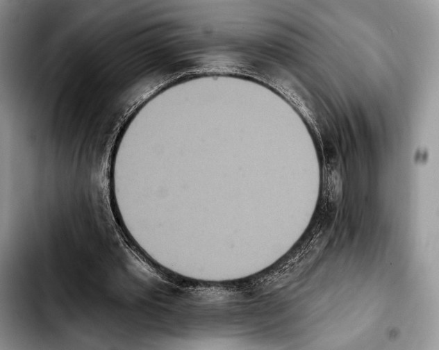 X0000103910389200810101312