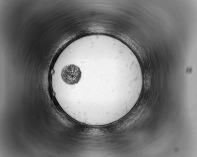 X0000103910390200810101312
