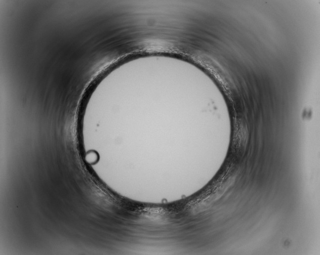 X0000103910391200810101312
