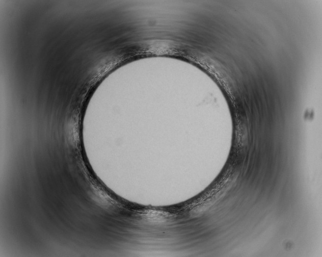 X0000103910393200810101312