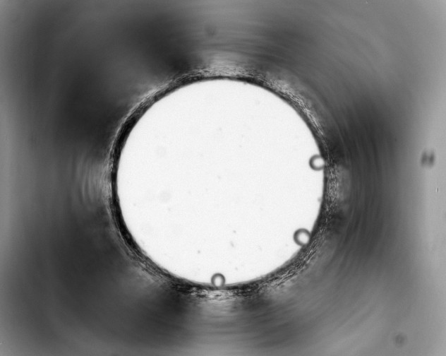 X0000103910395200810101312