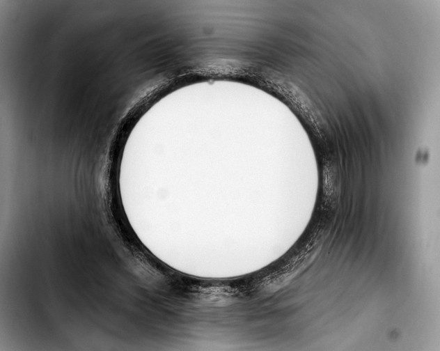 X0000103910396200810101312