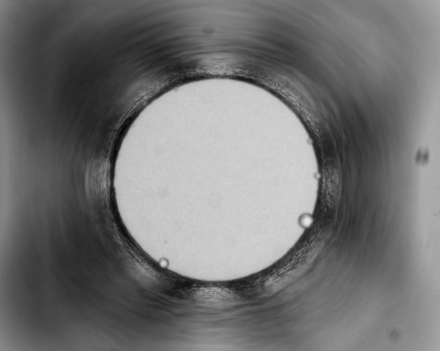 X0000103910397200810101312