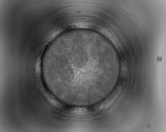 X0000103910398200810101312