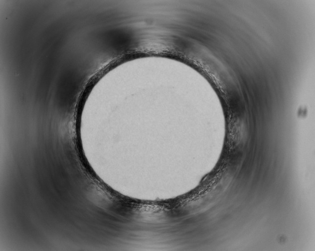 X0000103910399200810101312