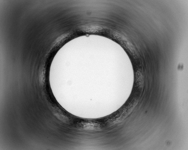 X0000103910400200810101312