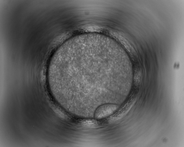 X0000103910402200810101312
