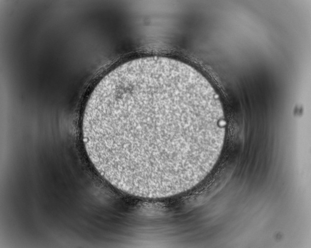 X0000103910403200810101312