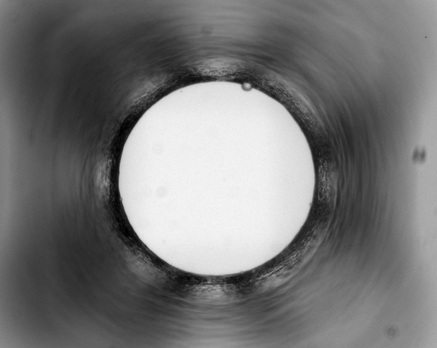 X0000103910404200810101312
