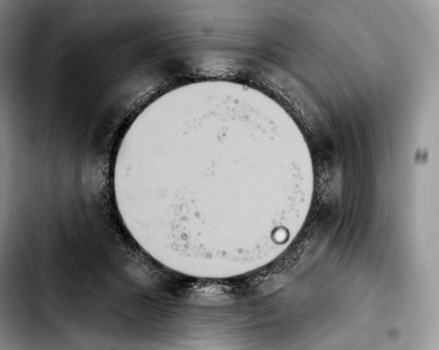 X0000103910407200810101312