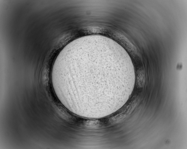 X0000103910410200810101312