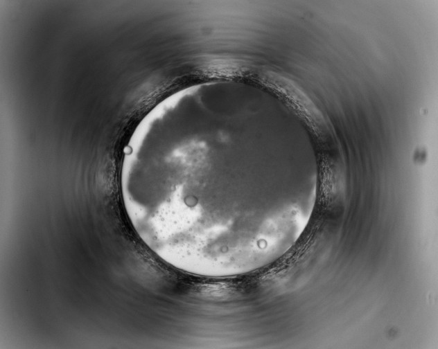 X0000103910411200810101312