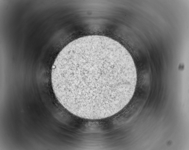 X0000103910413200810101312