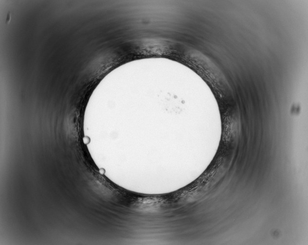 X0000103910414200810101312