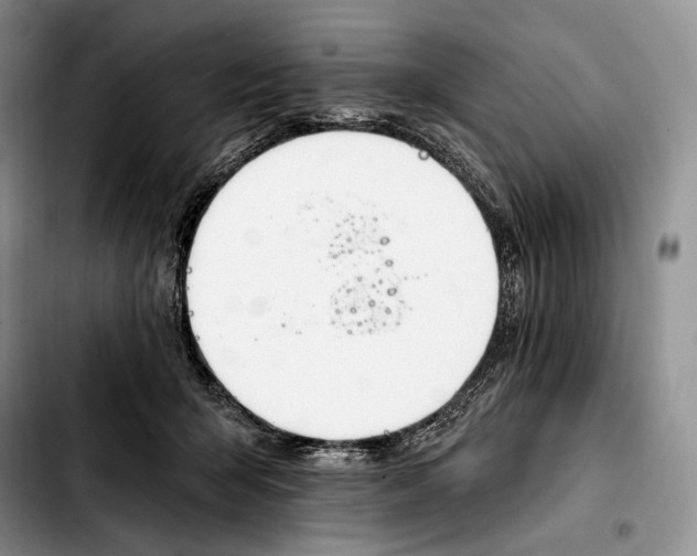 X0000103910415200810101312