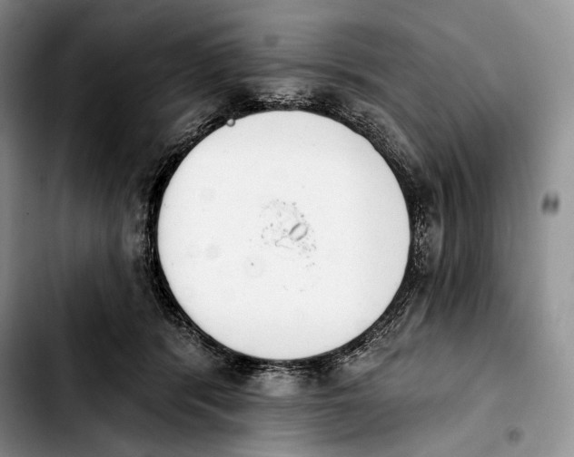 X0000103910416200810101312