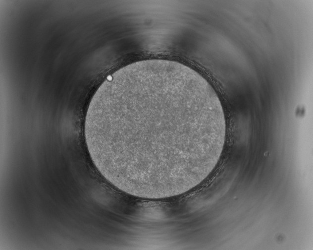 X0000103910417200810101312