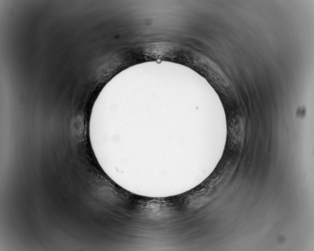 X0000103910420200810101312
