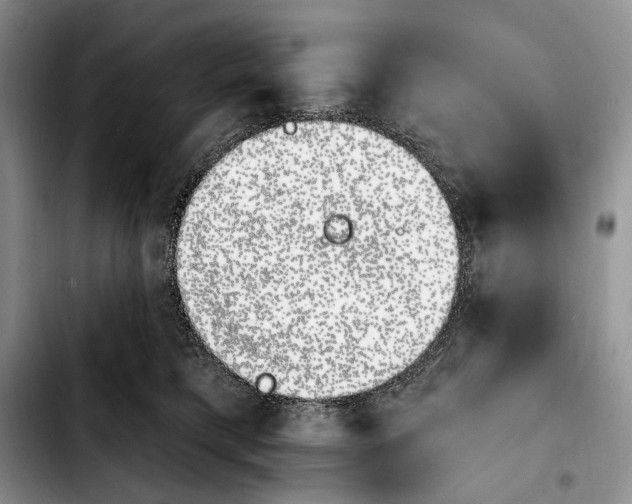 X0000103910421200810101312