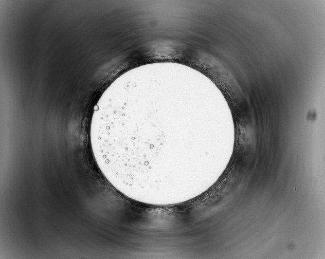 X0000103910422200810101312
