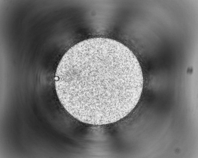 X0000103910425200810101312