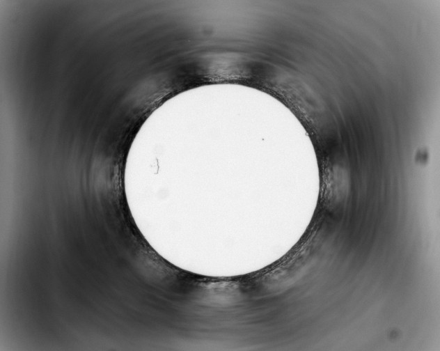 X0000103910426200810101312