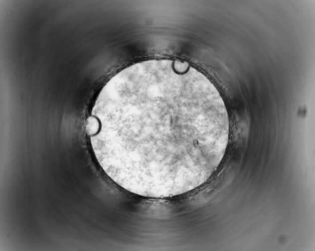 X0000103910427200810101312