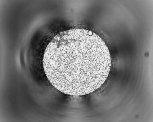 X0000103910429200810101312