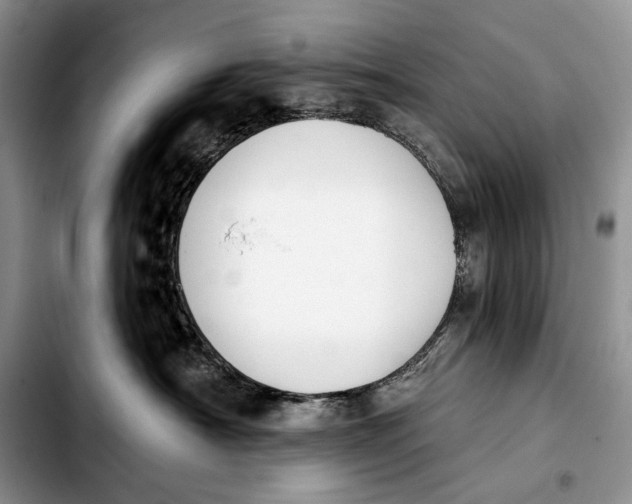 X0000103910430200810101312