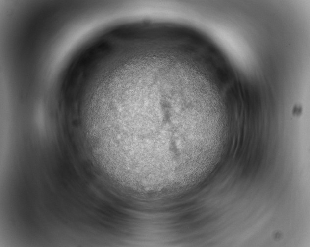 X0000103910431200810101312