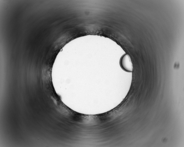 X0000103910432200810101312
