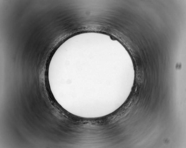 X0000103910434200810101311
