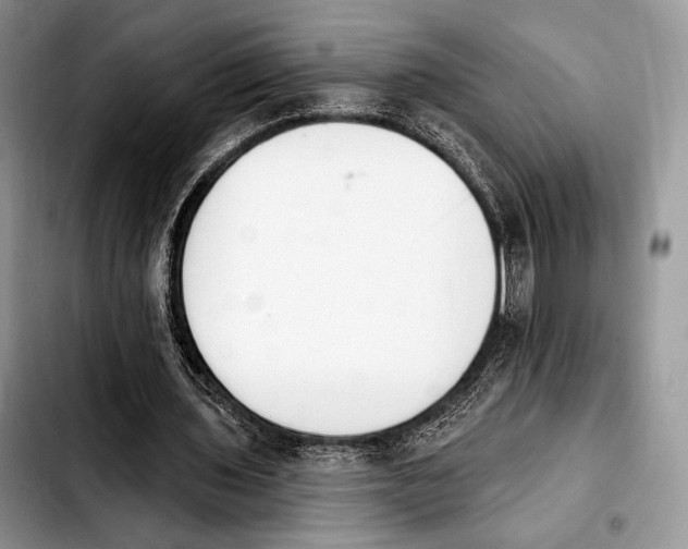 X0000103910435200810101311