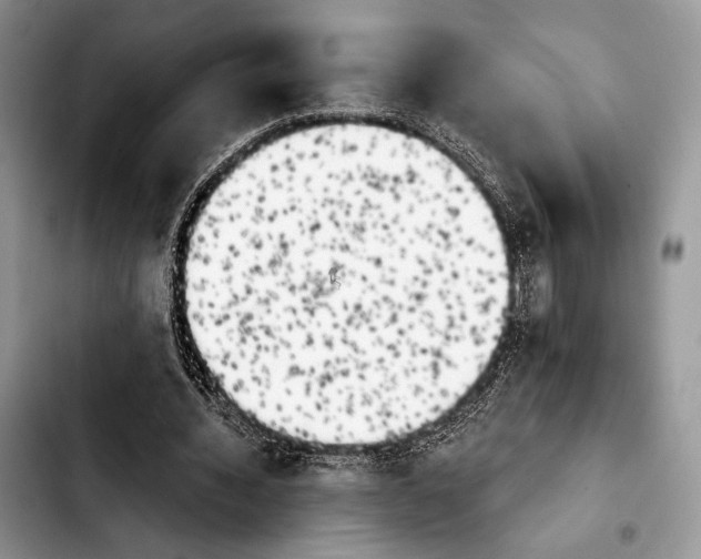 X0000103910436200810101311