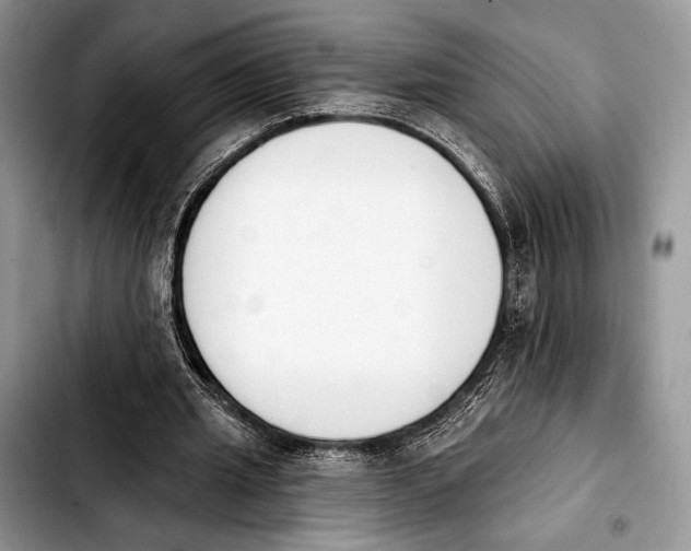 X0000103910437200810101311