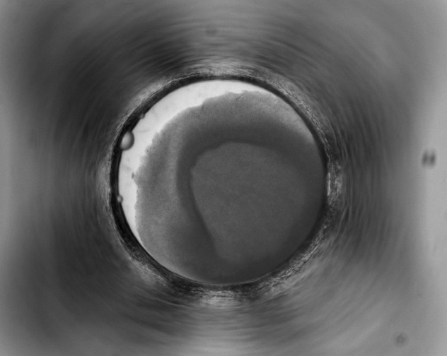 X0000103910438200810101311