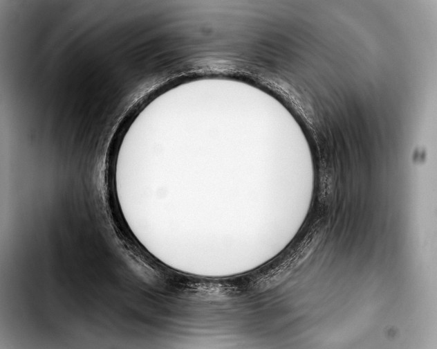 X0000103910439200810101311