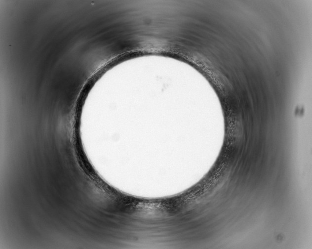 X0000103910440200810101311