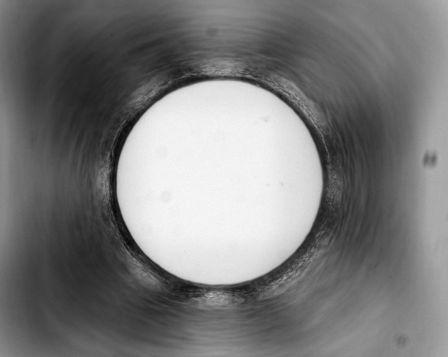 X0000103910441200810101311
