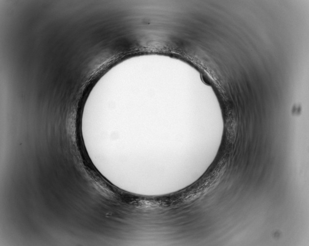 X0000103910442200810101311