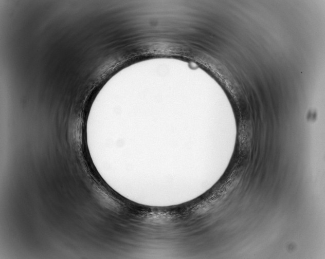 X0000103910445200810101311