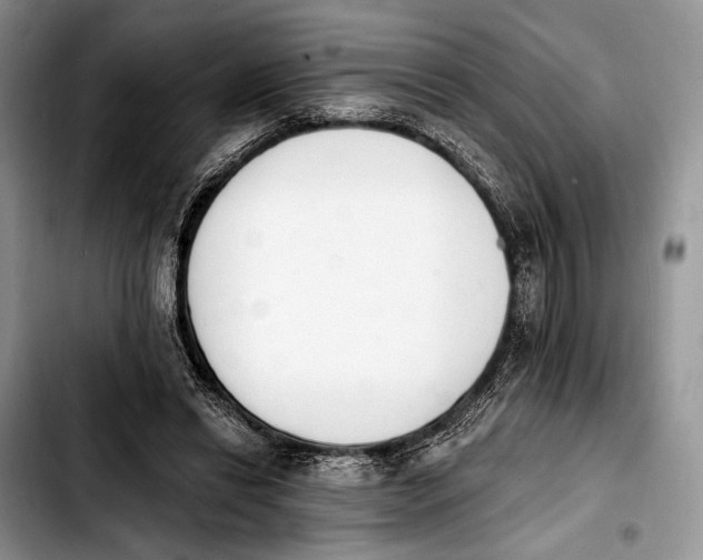 X0000103910446200810101311