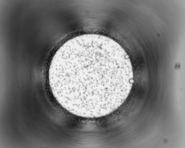 X0000103910448200810101311