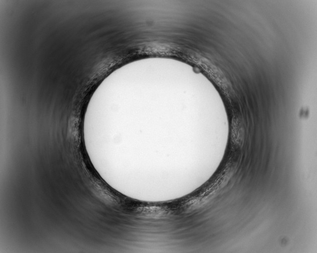 X0000103910449200810101311